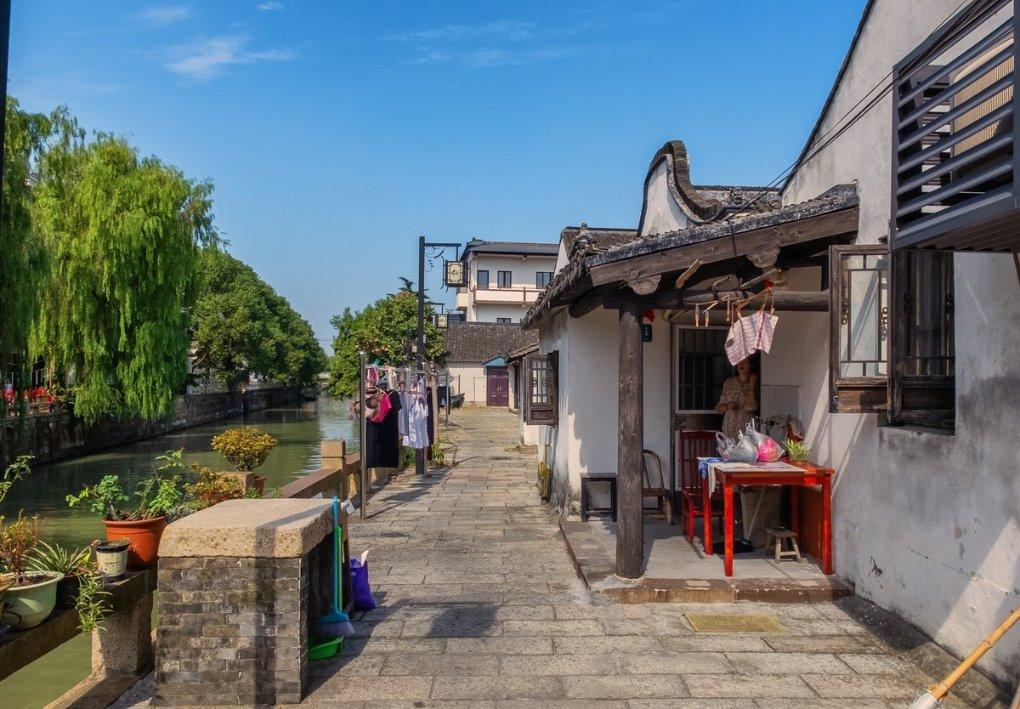 威海高区税务局:深耕精细化服务 绘就税务好“枫”景